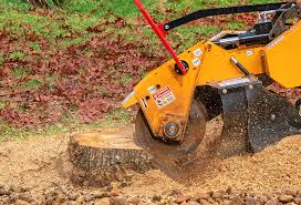 Best Tree Mulching  in Fremont, IN