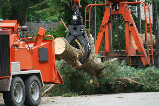 Best Commercial Tree Services  in Fremont, IN